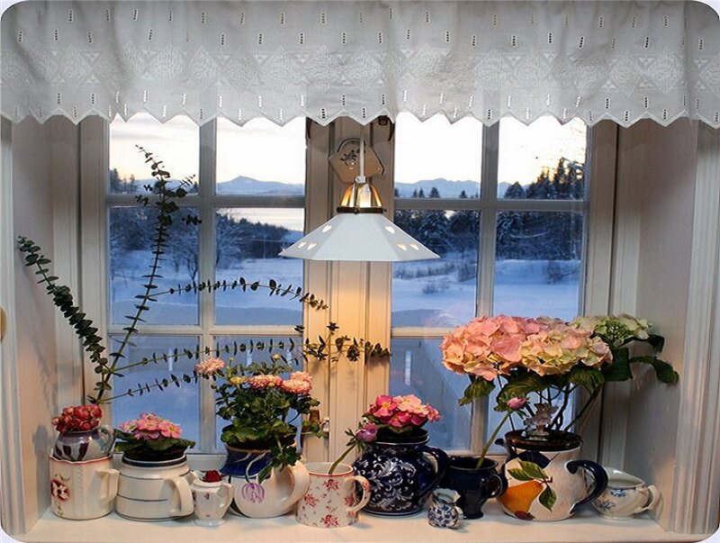 Window with Flowers and Snow