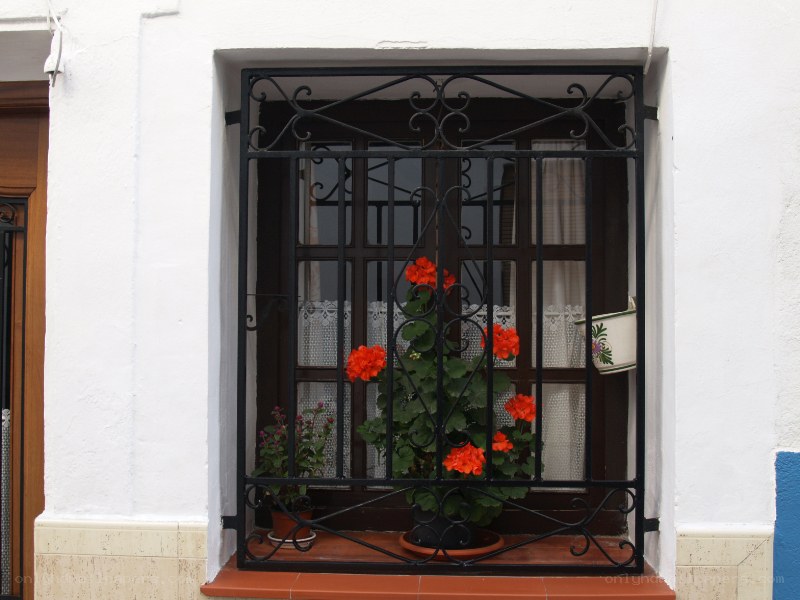 window with flowers and wrought iron