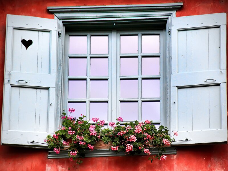 Window with Flowers — Red, Calm, Photograph, Shutters, Wall, White