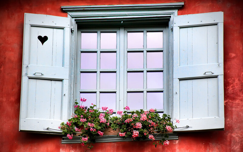 Window with Flowers — Red, Calm