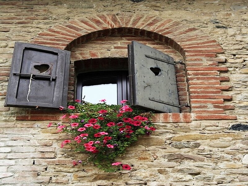 Window with Flowers — Red, Serene
