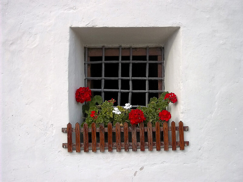 Window with Flowers — White