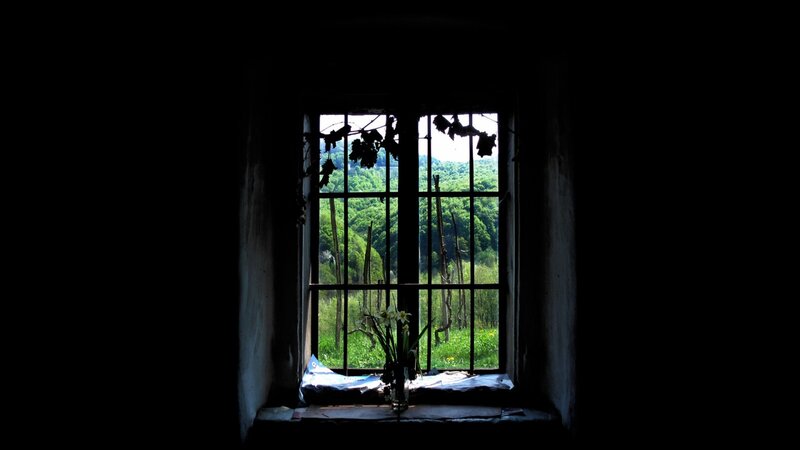 window with forest view
