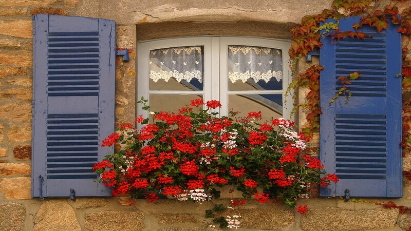 Window with Geraniums