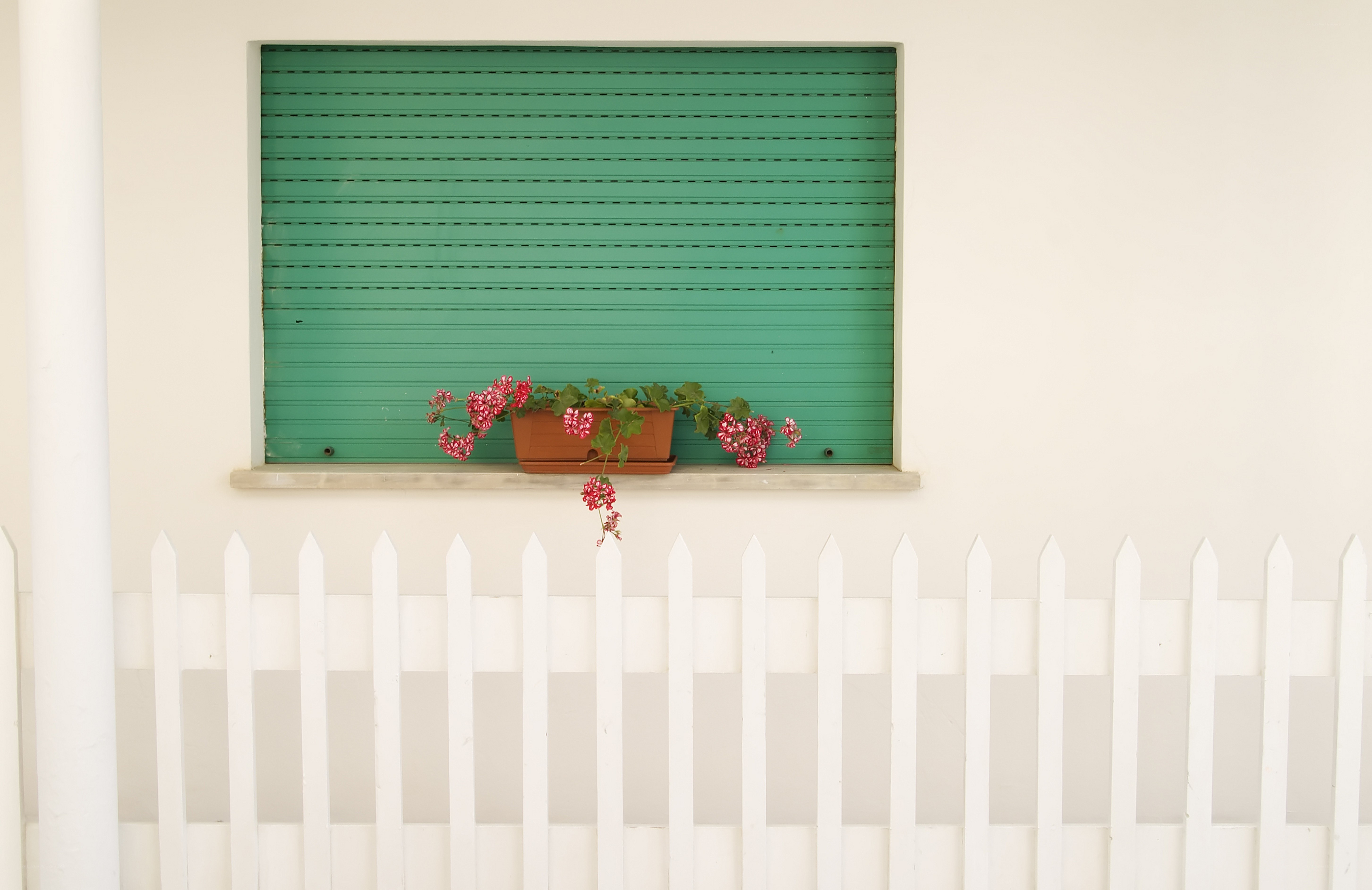 window with green shutter and flowers