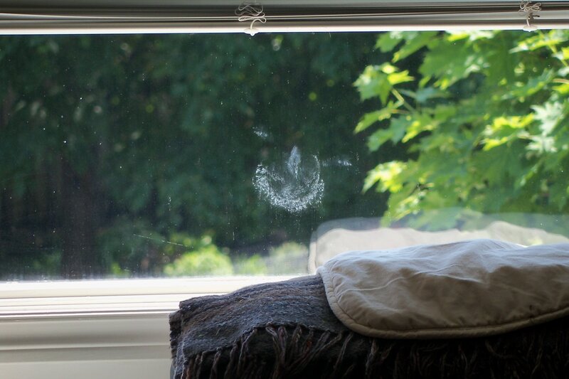 window with leafy view