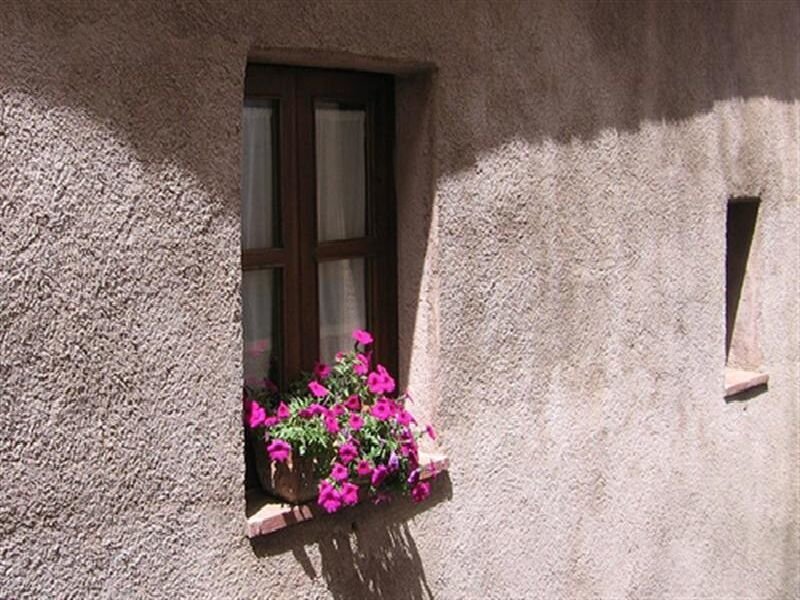 window with pink flowers