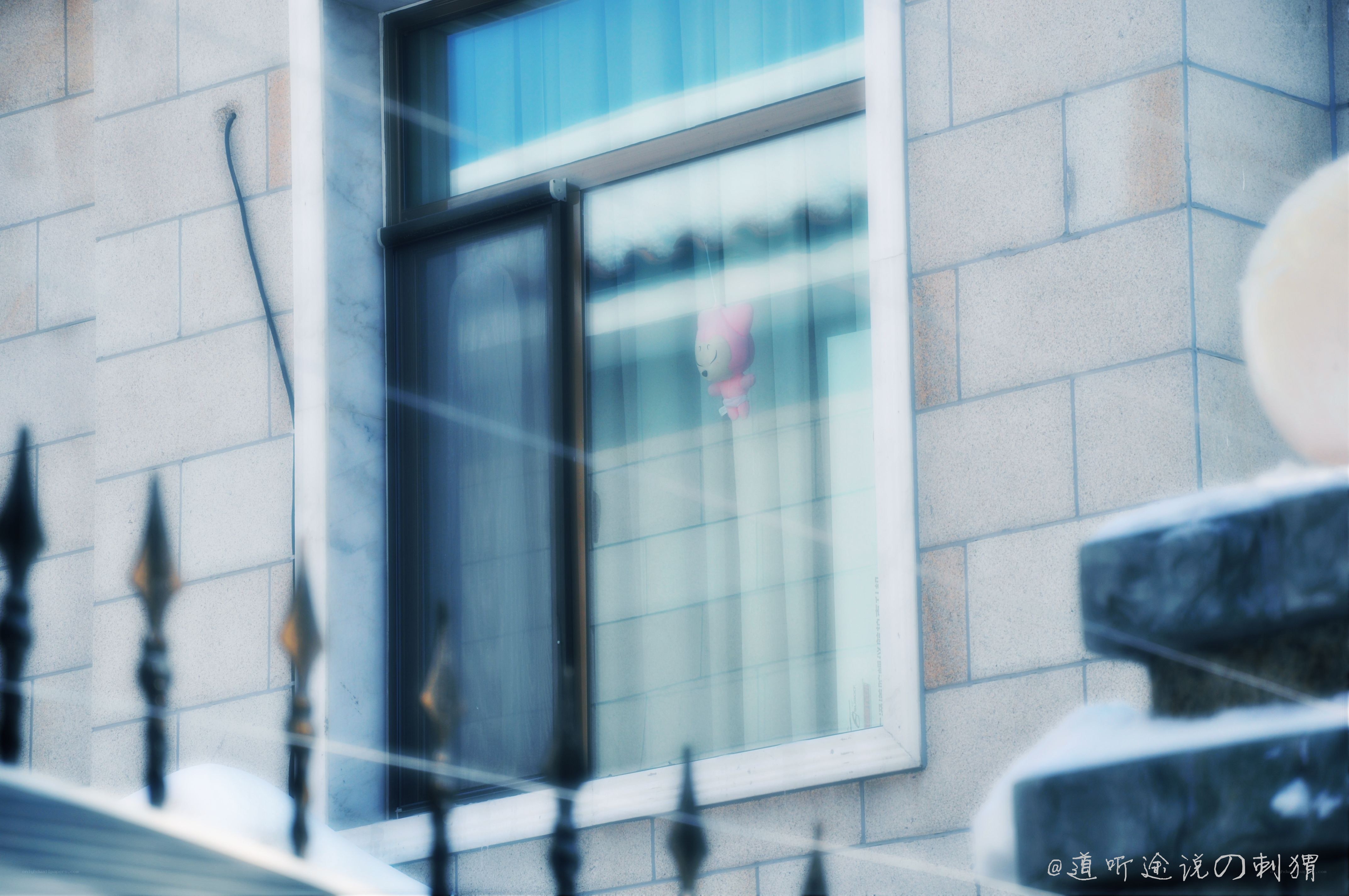 window with pink toy inside