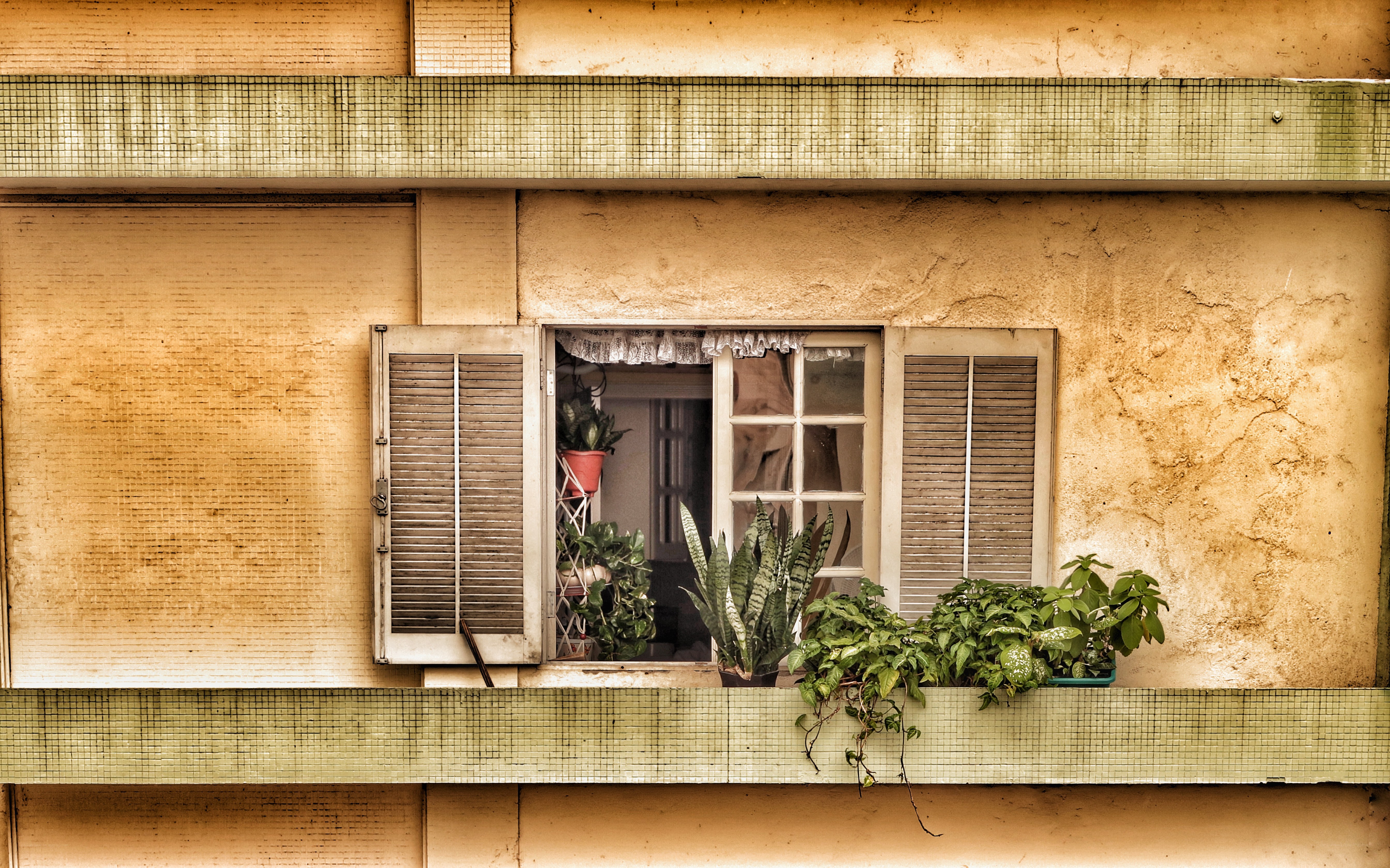 window with plants on balcony