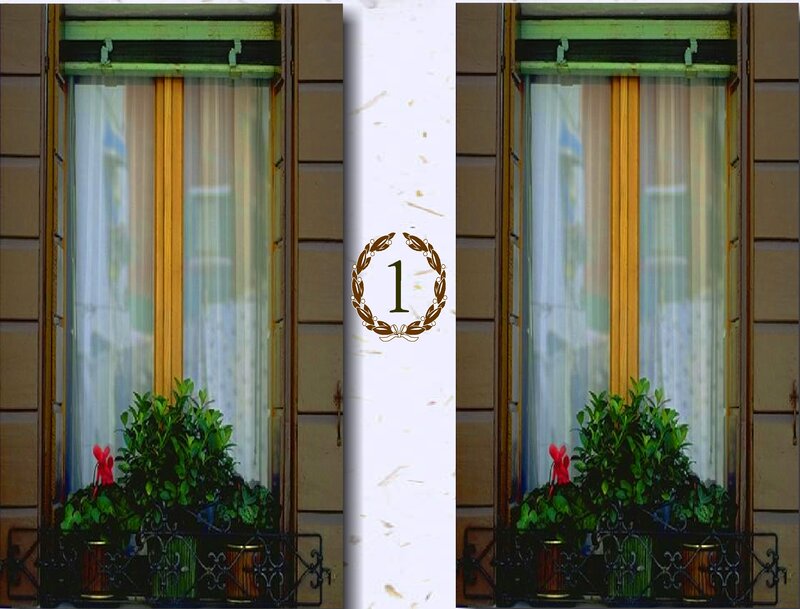 Window with Plants