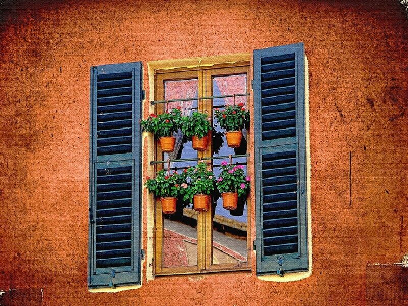 Window with Potted Plants