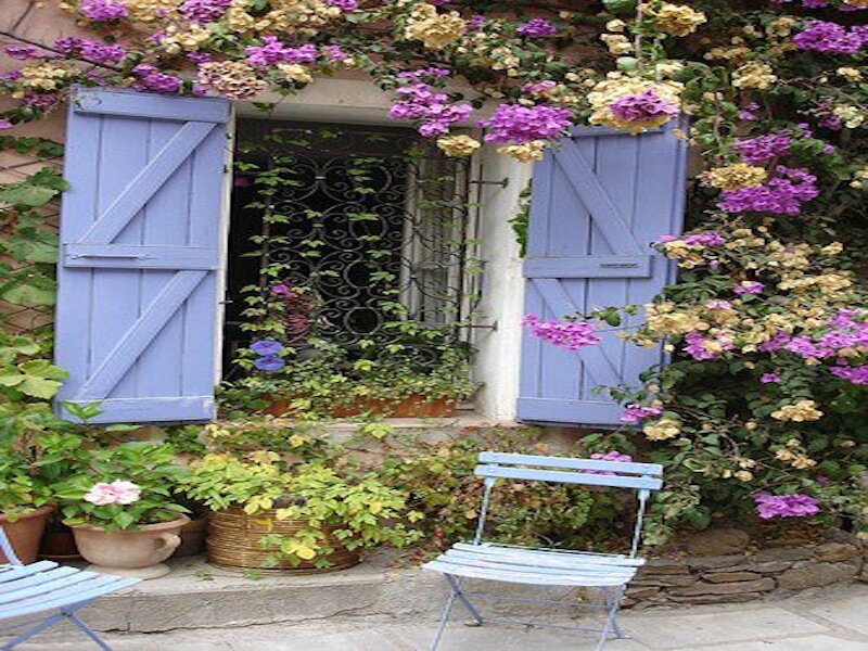 Window with Purple Shutters