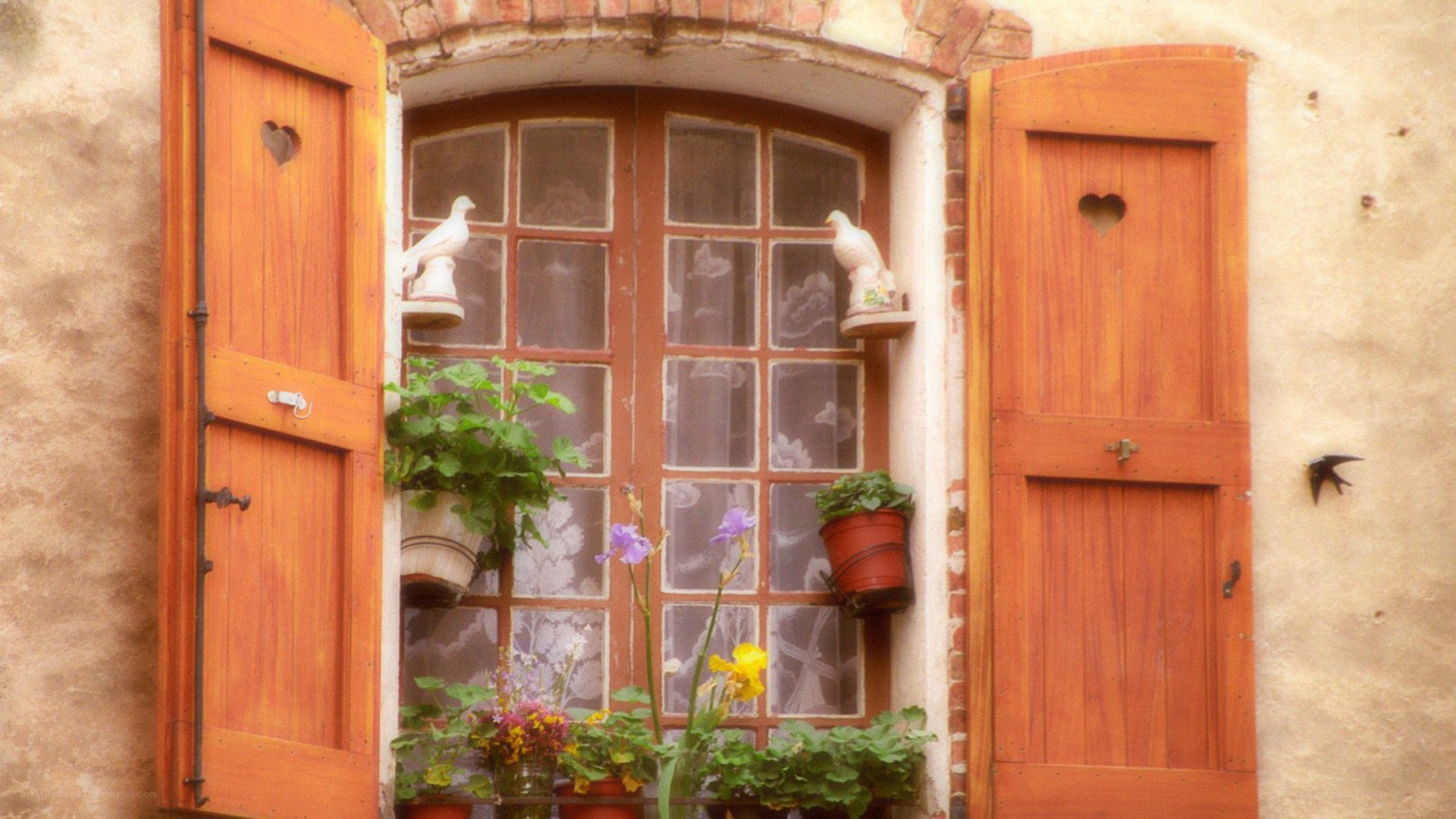 window with shutters and flowers