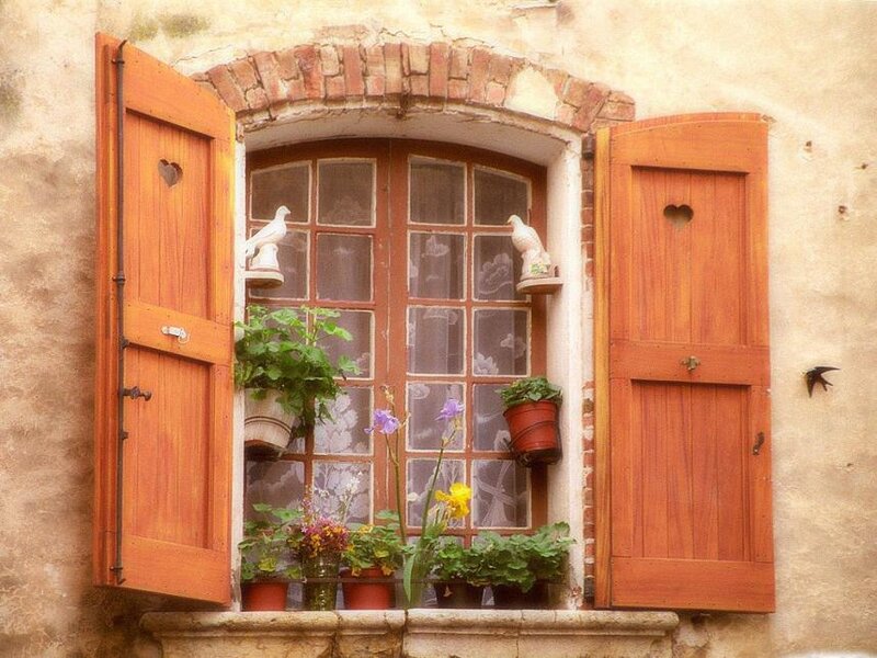 Window with Shutters and Plants