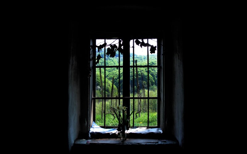 Window with Vine and Flowers