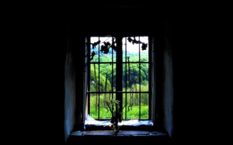 Window with Vine