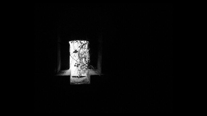 Window with Vines — Black