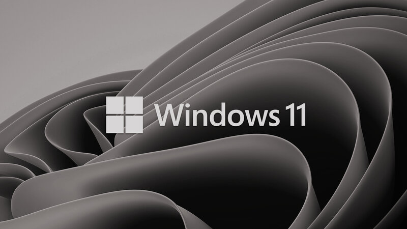 Windows 11 Logo — Gray