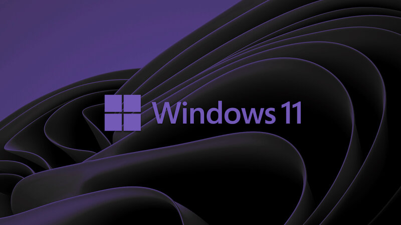 Windows 11 Logo — Purple