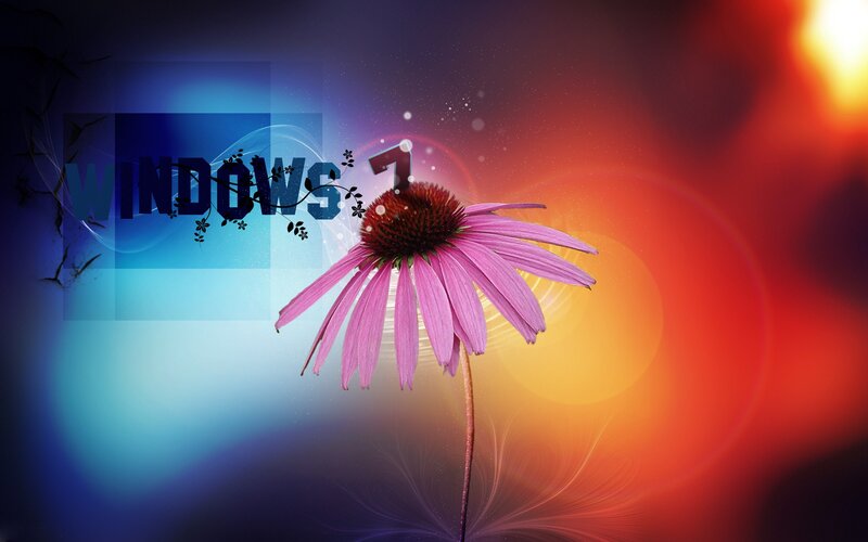 Windows 7 flower wallpaper