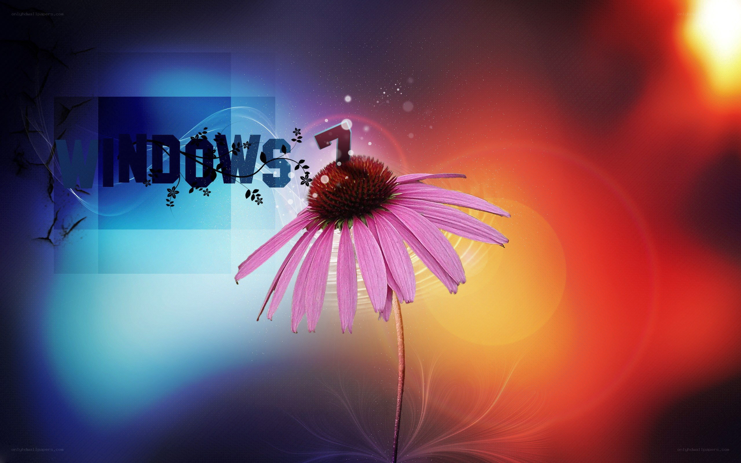 Windows 7 flower wallpaper