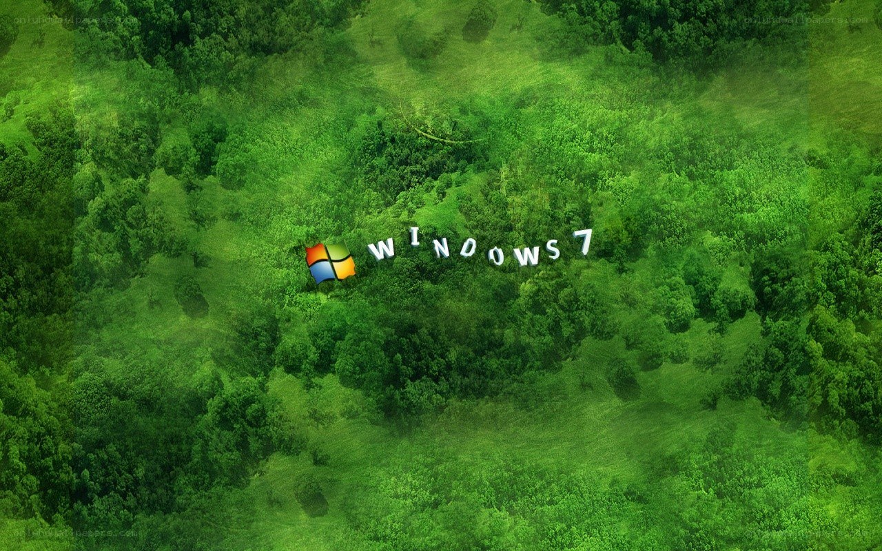 Windows 7 forest wallpaper