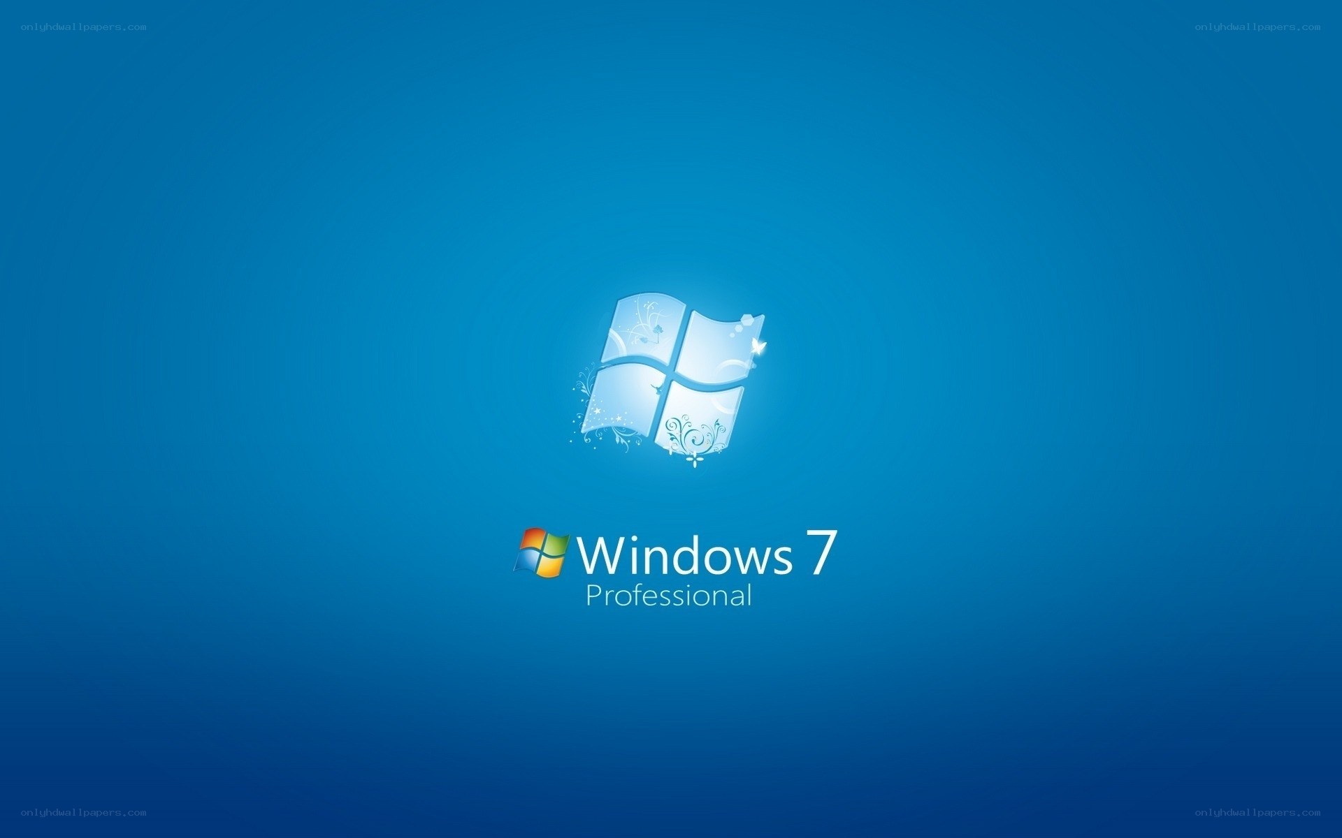 Windows 7 Professional logo