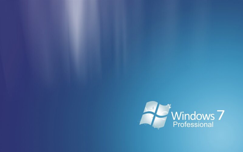 Windows 7 Professional logo