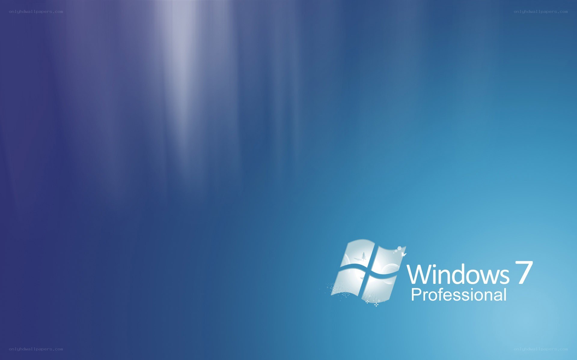 Windows 7 Professional logo