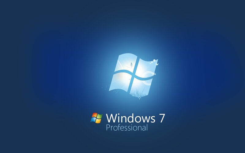 Windows 7 Professional logo