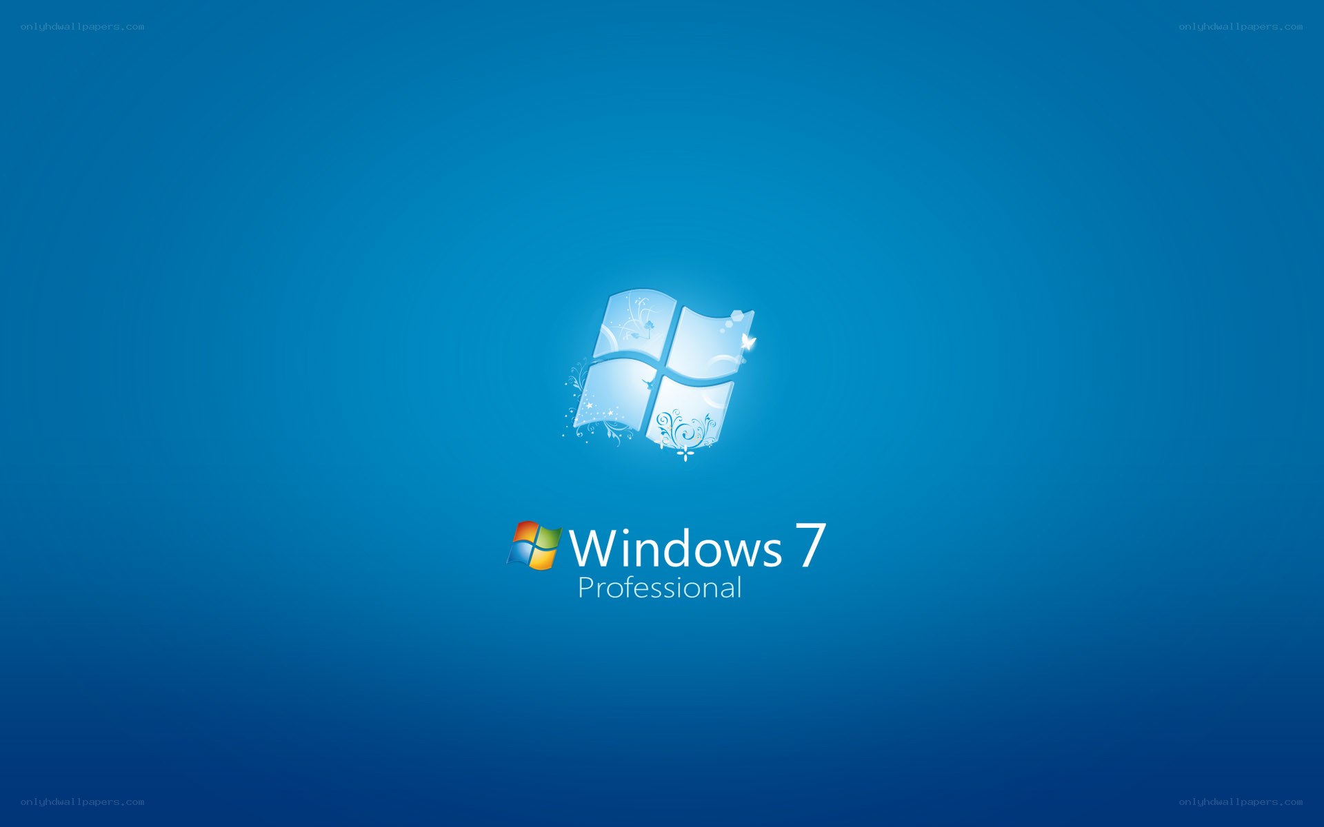 Windows 7 Professional logo