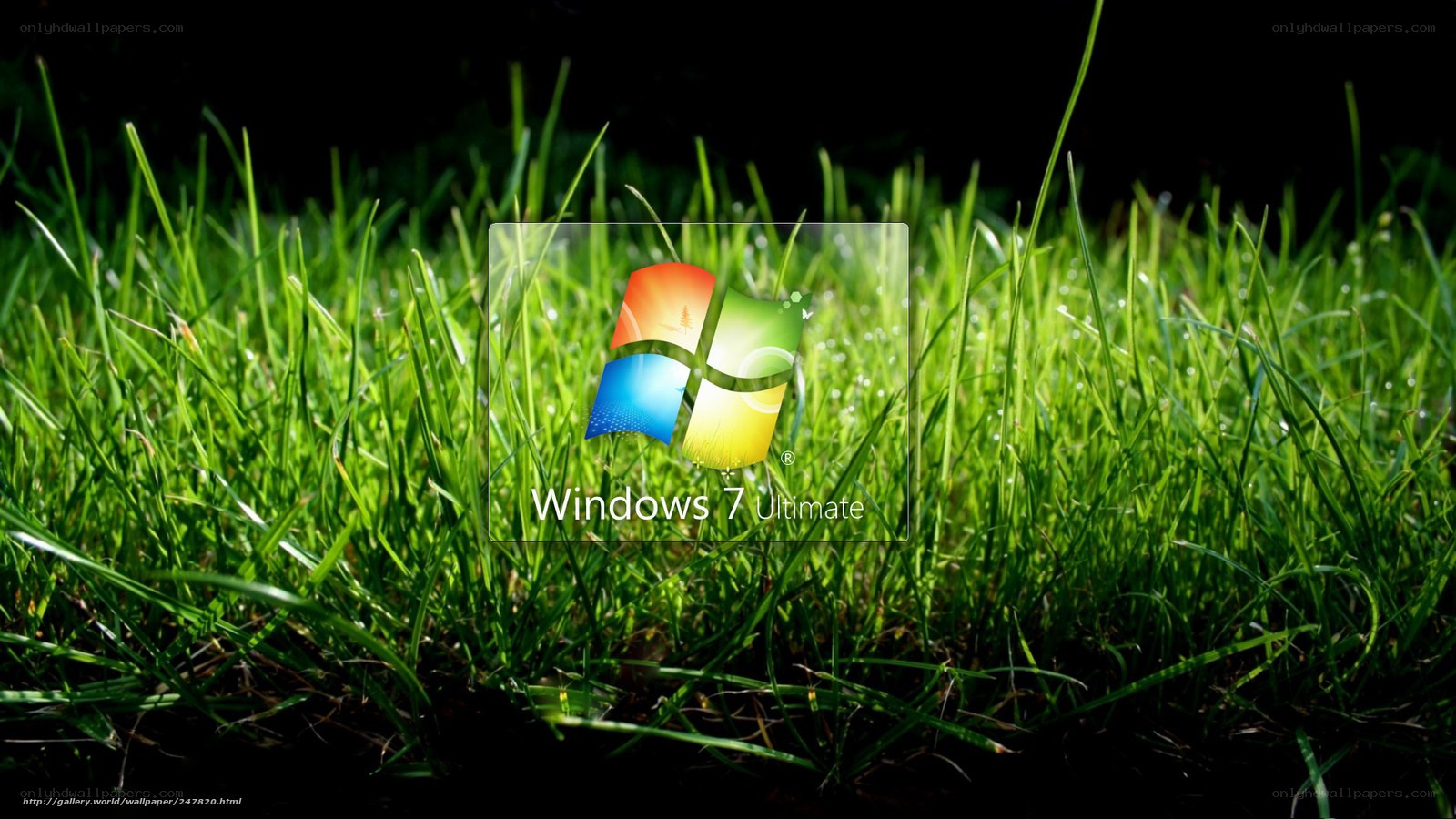 Windows 7 Ultimate on grass