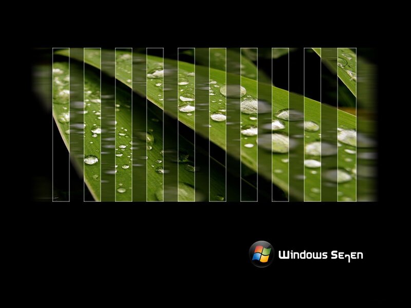 Windows 7 wallpaper with leaves