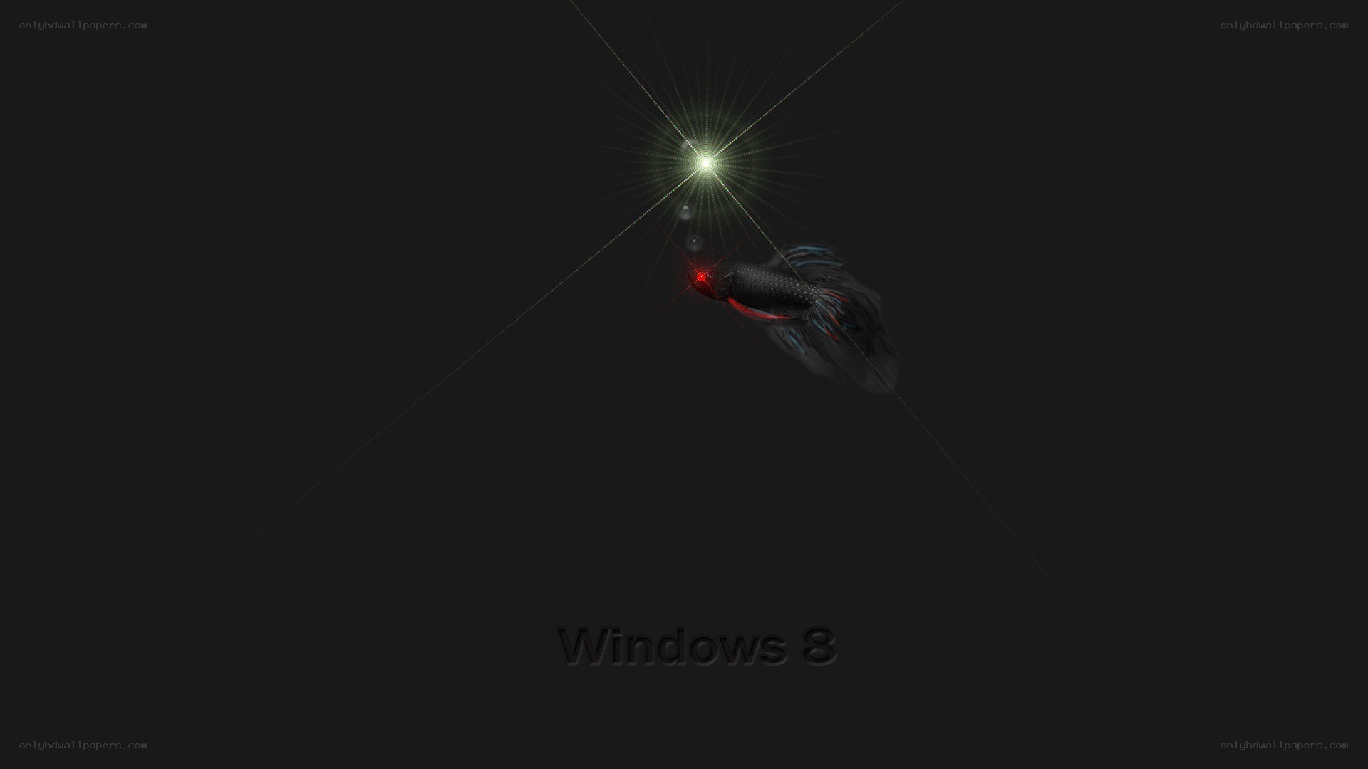 Windows 8 boot screen