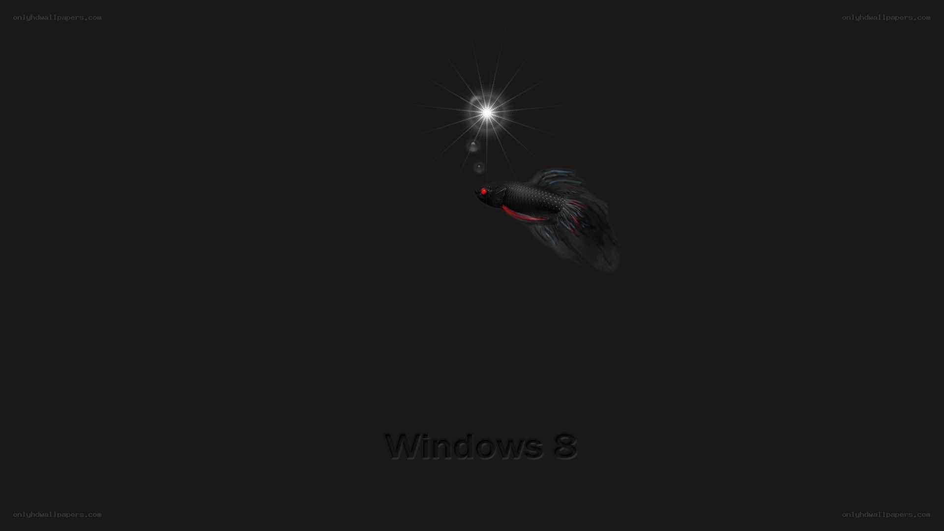 Windows 8 boot screen