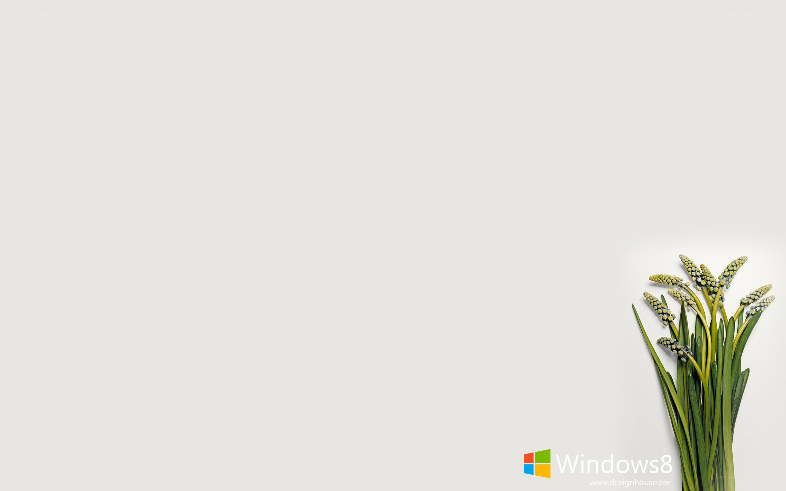 Windows 8 desktop wallpaper