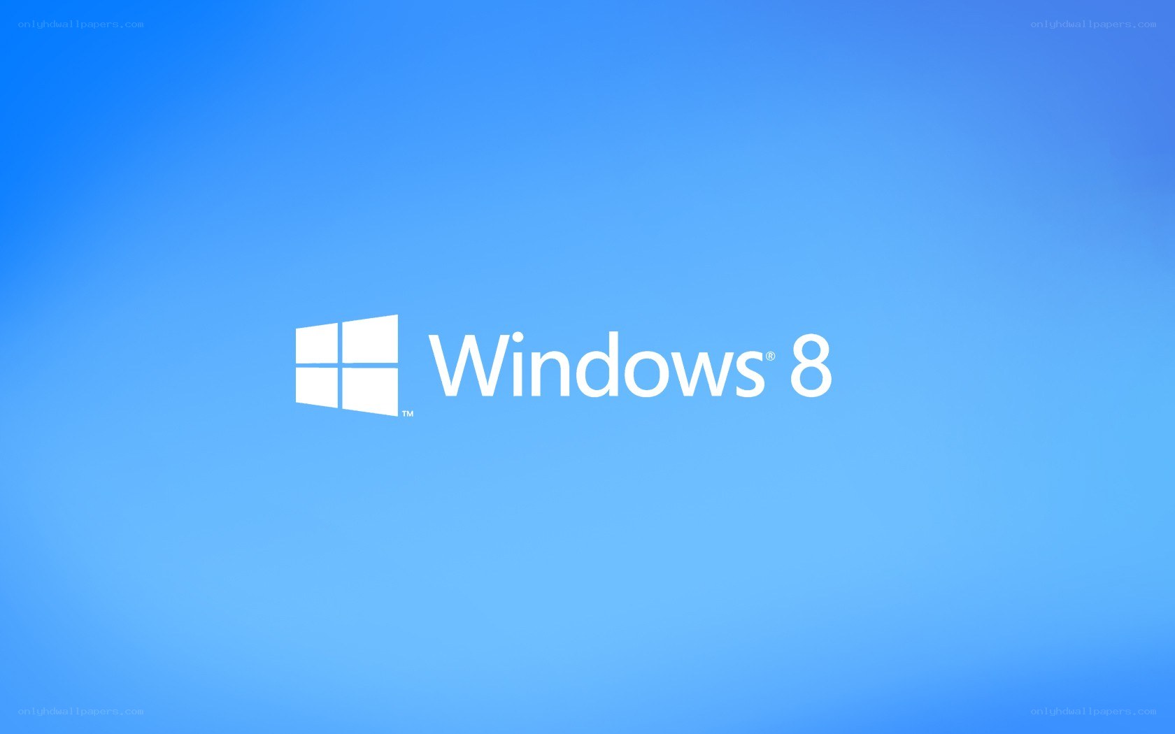 Windows 8 logo