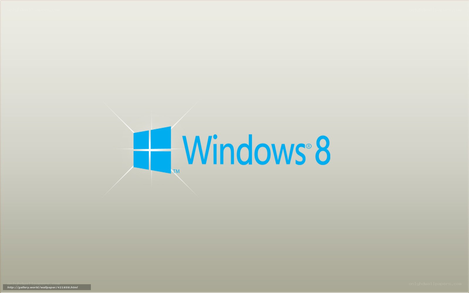 Windows 8 logo