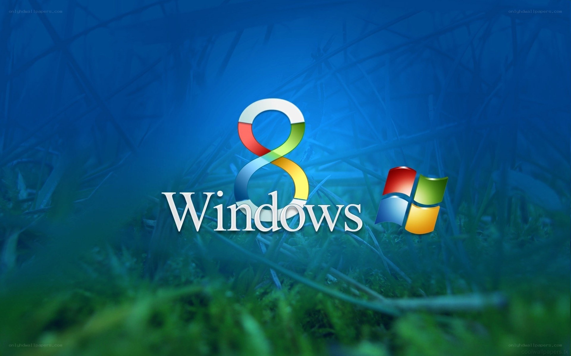 Windows 8 logo on nature background