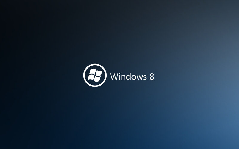 Windows 8 logo screen