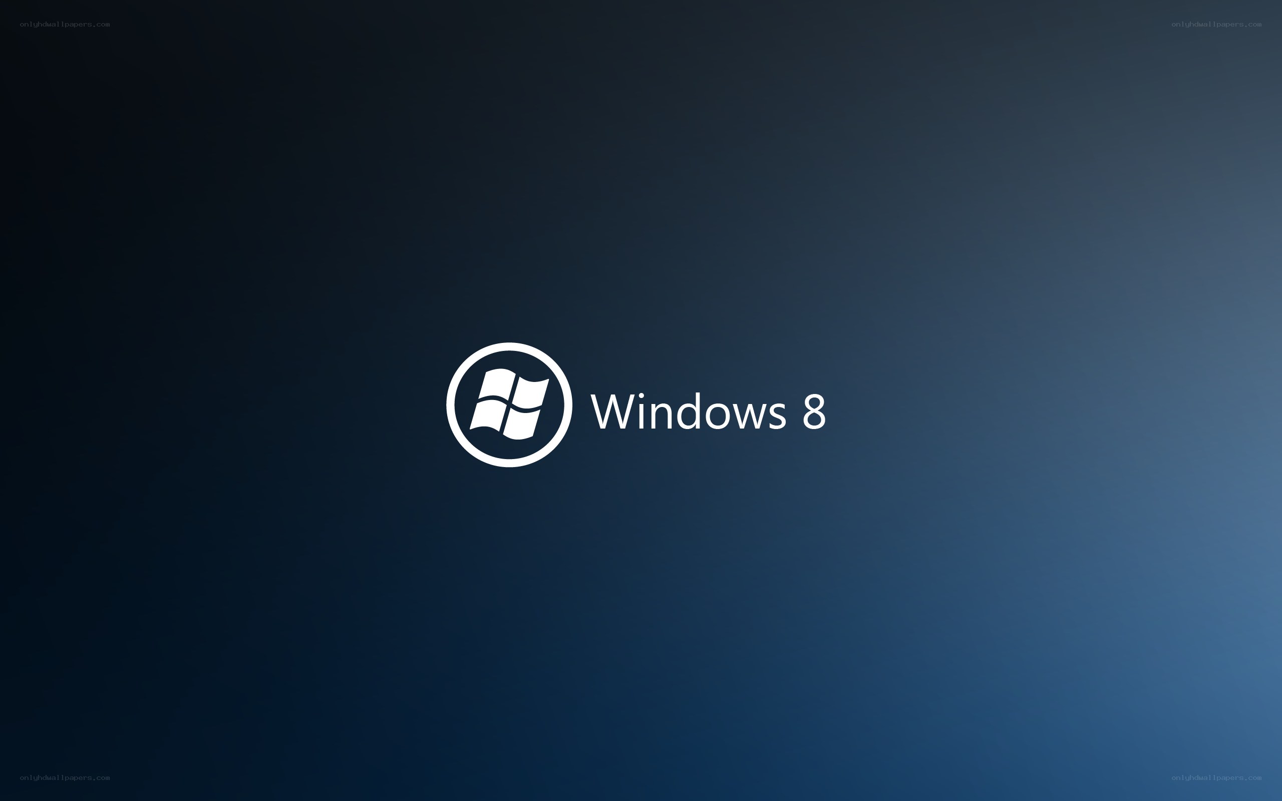 Windows 8 logo screen