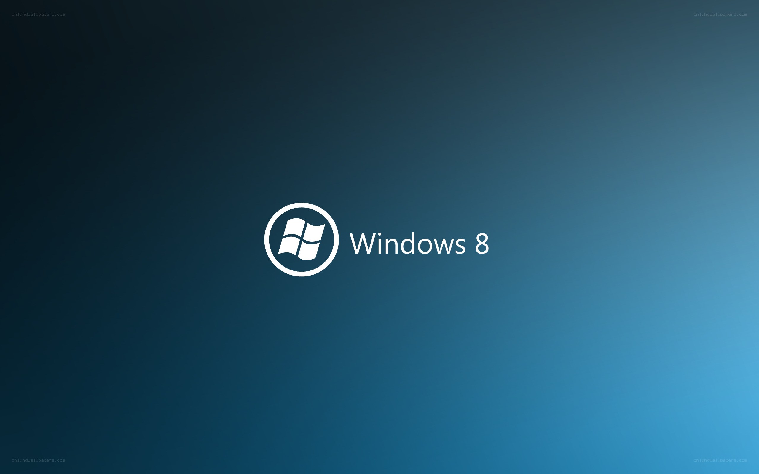 Windows 8 logo screen