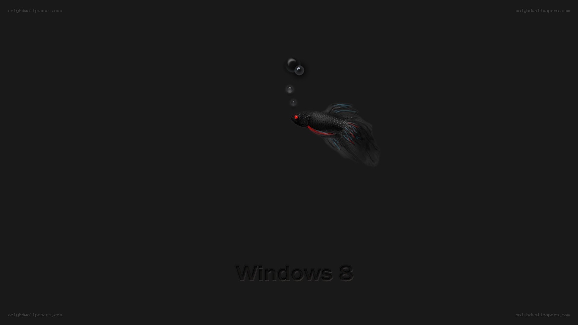 Windows 8 startup screen