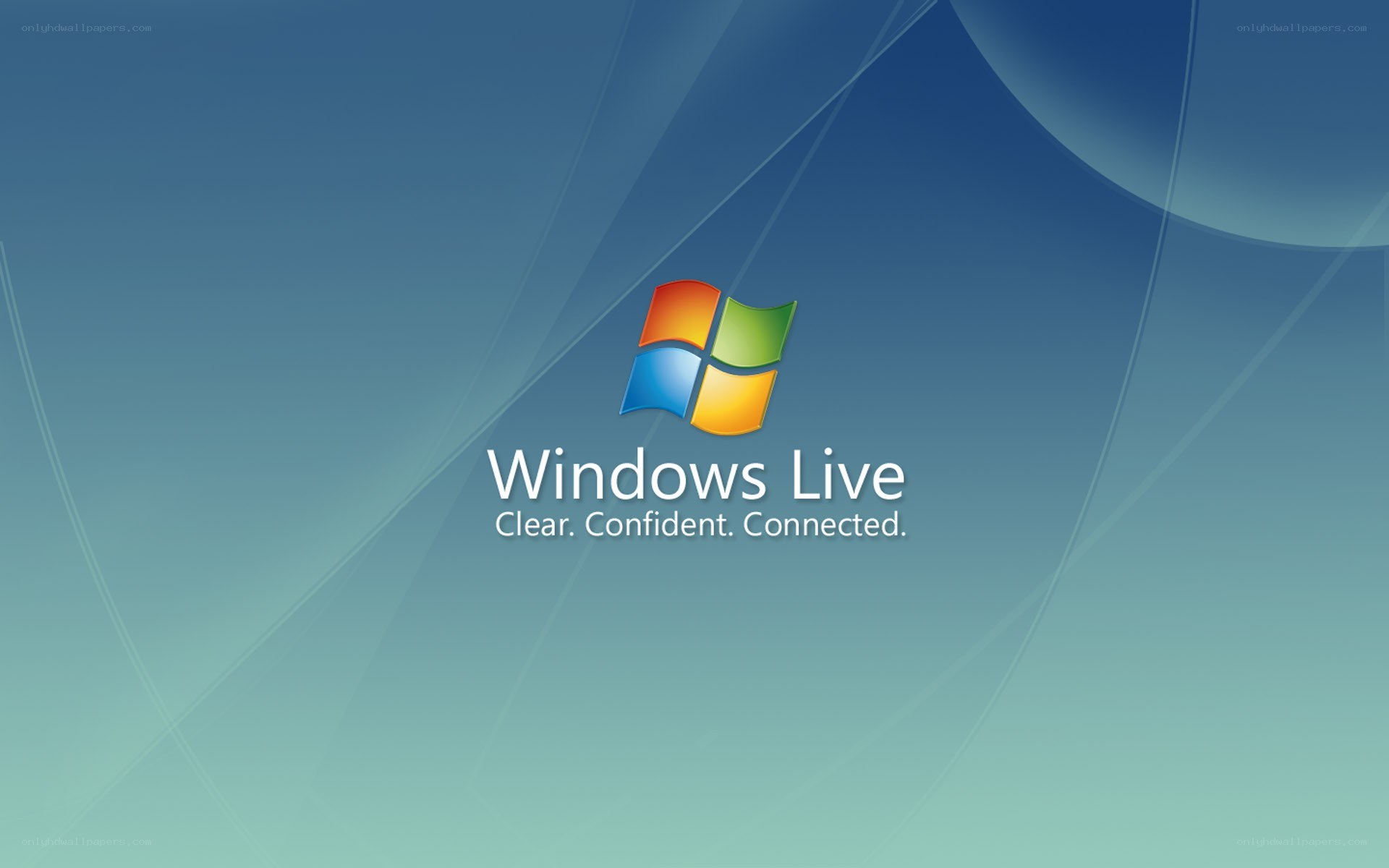 Windows Live logo screen