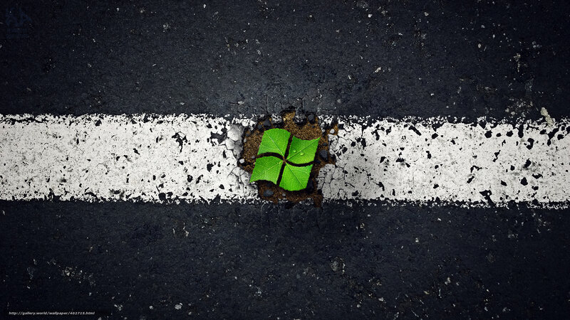 Windows logo as a sprouting leaf