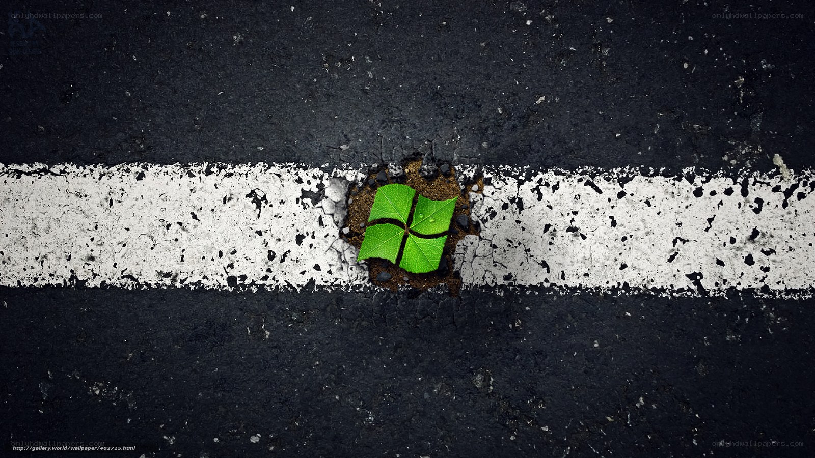 Windows logo as a sprouting leaf