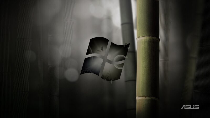Windows logo in bamboo forest