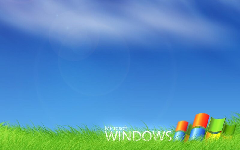Windows Logo in Grass — Blue