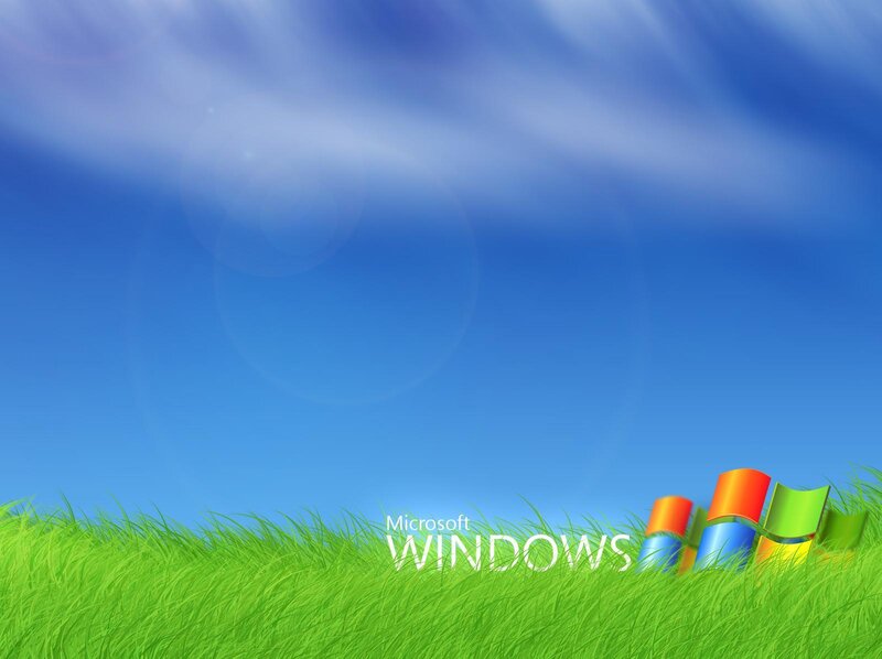 Windows Logo in Grass — Green, Serene, Afternoon