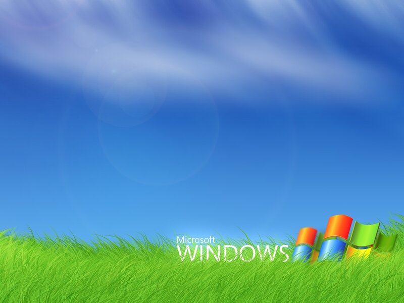 Windows Logo in Grass — Green